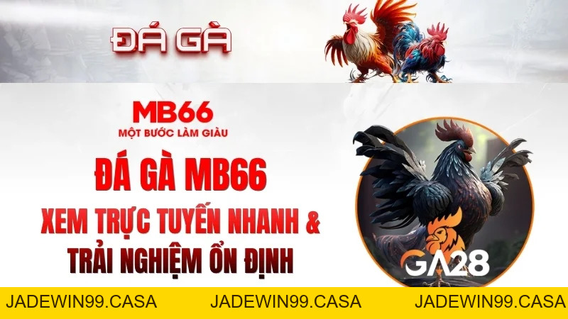 Đá Gà MB66 – Xem Trực Tuyến Nhanh, Ổn Định 2026 - JADEWIN99.CASA