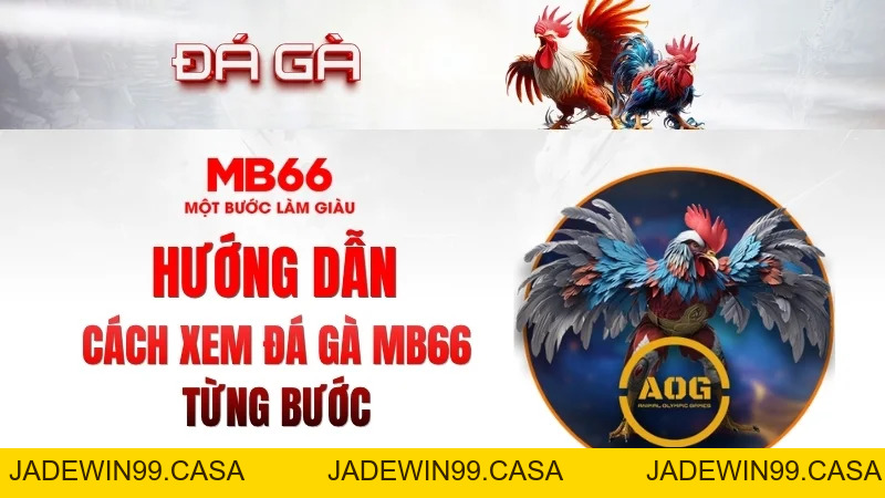 Đá Gà MB66 – Xem Trực Tuyến Nhanh, Ổn Định 2026 - JADEWIN99.CASA